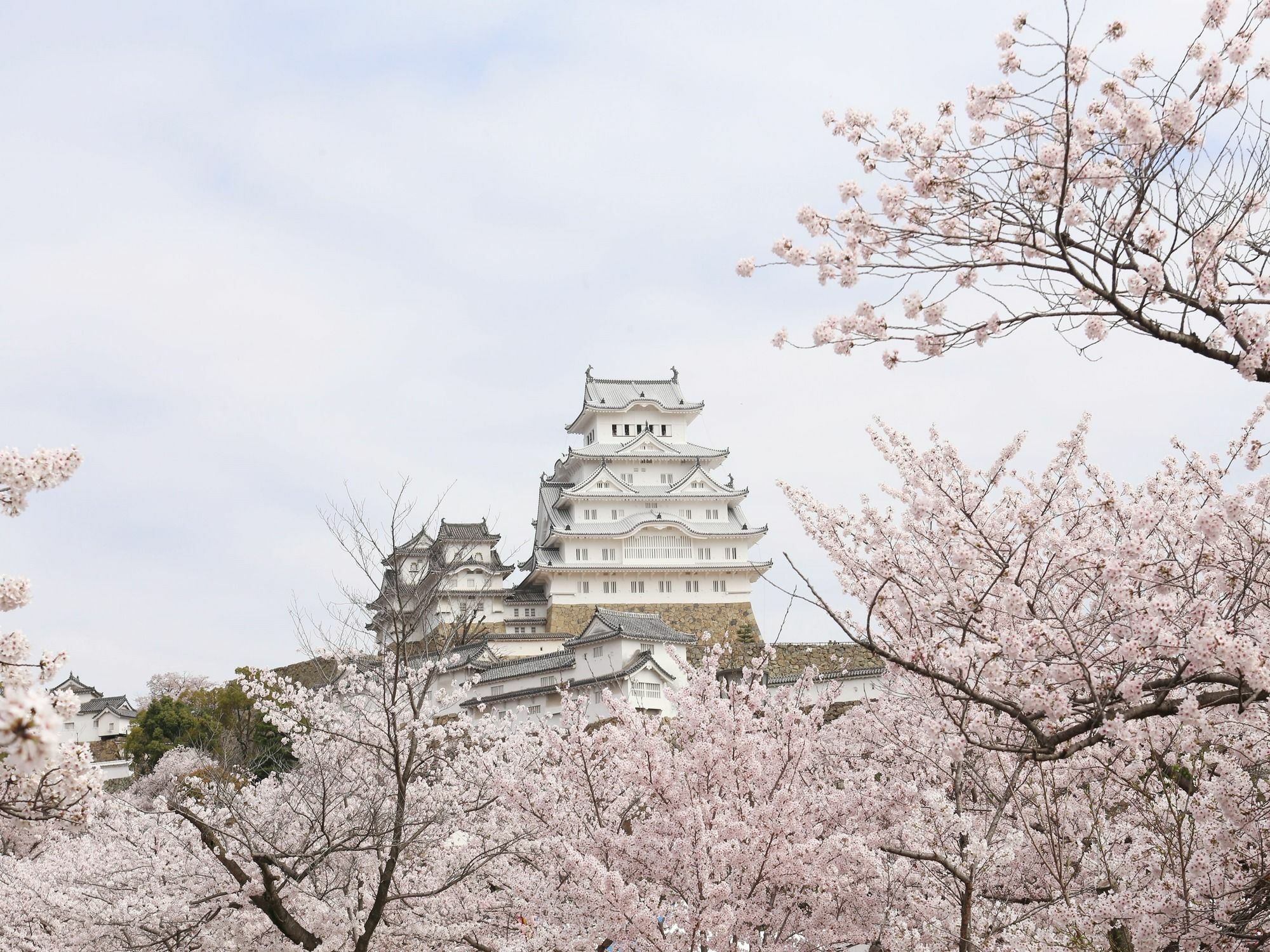 Apa Hotel Himeji Ekikita מראה חיצוני תמונה